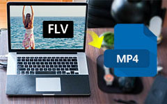 FLV do MP4 pro Mac