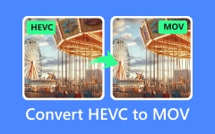 Convert HEVC to MOV