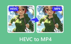 Конвертировать AVCHD в MP4