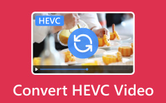Convertir vídeo HEVC
