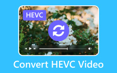 Конвертировать видео HEVC