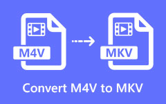 Convierta M4V a MKV