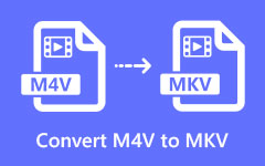 Convertir M4V en MKV