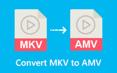 Converteer MKV naar AMV