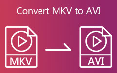 Конвертировать MKV в AVI