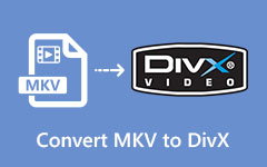 MKV to DivX