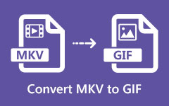 Konwertuj MKV na GIF