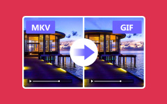 Convertir MKV en GIF