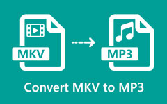 Convertir MKV en MP3