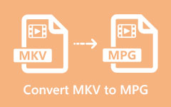 Konverter MKV til MPG