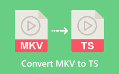 Converti MKV in TS