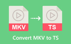 Convertir MKV a TS