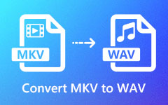 Converti MKV in WAV