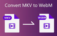 Преобразование MKV в WEBM