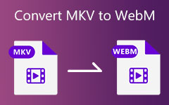 Convert MKV to WebM
