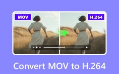 Convertire MOV in H264