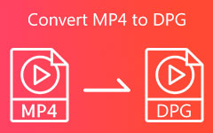 Converteer MP4 naar DPG