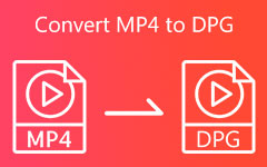 Convertir MP4 a DPG