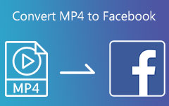 Converti MP4 in Facebook