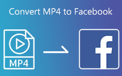 Convert MP4 to Facebook