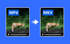 Convertir MP4 en MKV