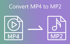 Converteer MP4 naar MP2