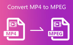Muunna MP4 MPEG-muotoon