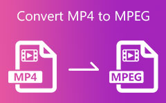 Konverter MP4 til MPEG