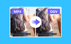 Convert MP4 to OGV