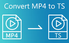 Convert MP4 to TS