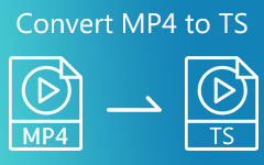 Convertir MP4 a TS