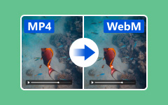 MP4’i WebM’ye dönüştürme