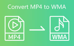 Конвертировать MP4 в WMA