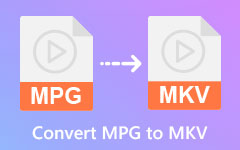 MPGをMKVに変換する