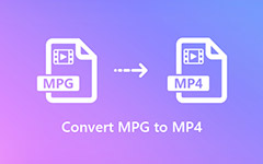 Converti MPG in MP4