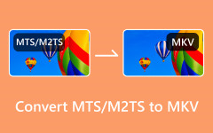 Converti MTS M2TS in MKV