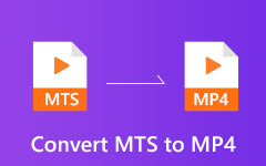 تحويل MTS / M2TS إلى MP4