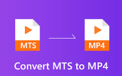 MTS till MP4