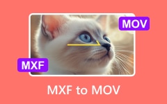 تحويل MXF إلى MOV