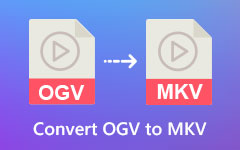 Конвертировать OGV в MKV