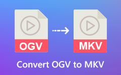 Convertir OGV a MKV