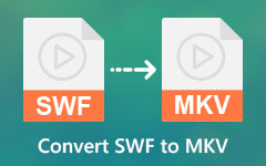 Převést SWF na MKV