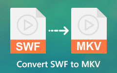 Muunna SWF MKV:ksi