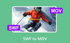 Конвертировать SWF в MOV