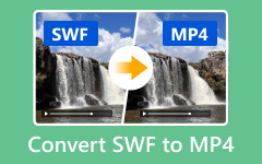 Converteer SWF naar MP4