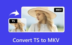 Muunna TS TSV: ksi
