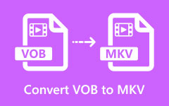 Converteer VOB naar MKV