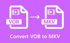 Конвертировать VOB в MKV