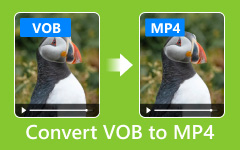 Converteer VOB naar MP4