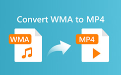 Converti WMA in MP4